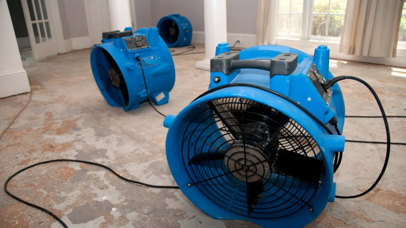Basement water extraction in Sheffield Park Indiana home